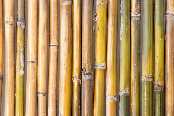 Grunge Gul Bambu Platta Strukturerad Bakgrund För Dekoration Med Kopieringsutrymme — Stockfoto