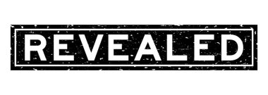 Grunge siyahı beyaz arka planda kelime karesi kauçuk mühür damgası ortaya çıkardı