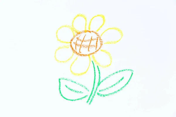 白い紙の背景に花の形をしたカラーオイルパステル手描き — ストック写真