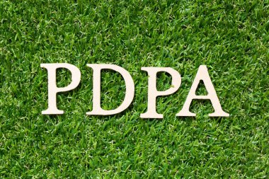 Kelime PDPA ile tahta alfabe harfi (kişisel veri koruma eyleminin kısaltılmışı) yapay yeşil çimen arka planı