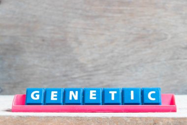 Ahşap arkaplanda kırmızı renk rafında kelime genetik harfi olan döşeme alfabesi harfi