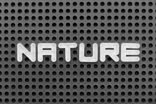 Белая Буква Алфавита Слове Природа Фоне Черной Доски — стоковое фото