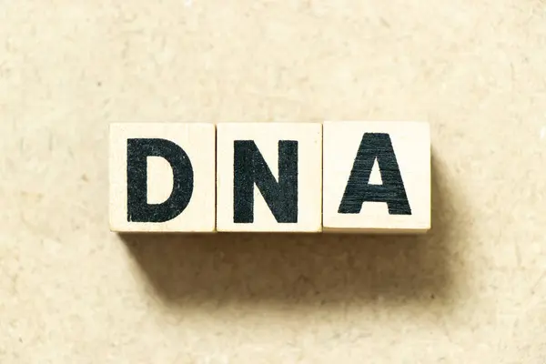 Alphabet letter block in word DNA (abbreviation of Deoxyribonucleic acid) on wood background