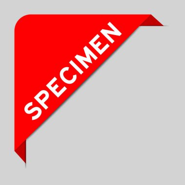 Gri arkaplanda kelime numunesi olan köşe etiketi pankartımın kırmızı rengi