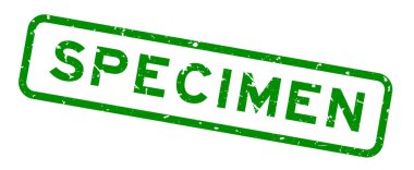 Grunge yeşil örnek kelime kare kauçuk mühür beyaz arka planda