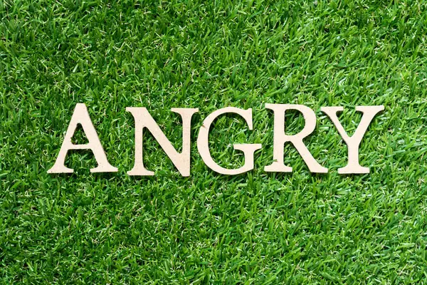 stock image Wood alphabet letter in word angry on artificial green grass background