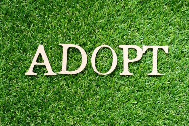 Wood alphabet letter in word adopt on artificial green grass background clipart