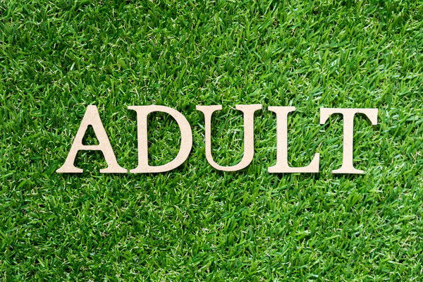 Wood alphabet letter in word adult on artificial green grass background
