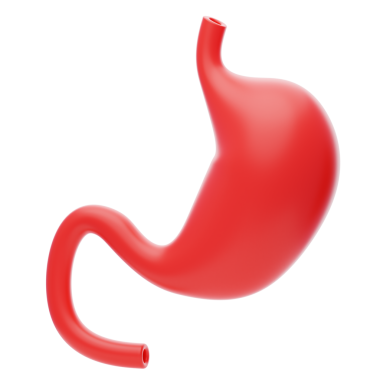 Mide 3D Simgesi. anatomi insan midesi 3D simgesi