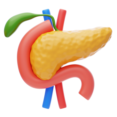 Pankreas 3 boyutlu simge. İnsan pankreası.