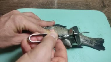 Aşçı kesme tahtasıyla gökkuşağı alabalığını keser.