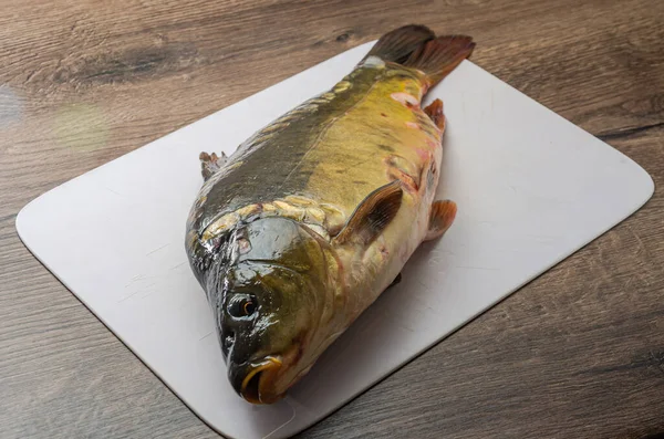 Levande Fiskkarp Ligger Skärbräda Köket — Stockfoto