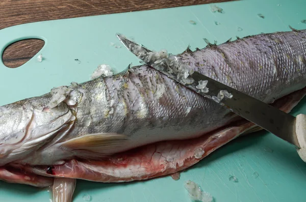 The cook cuts raw pike fish on a cutting board with a knife