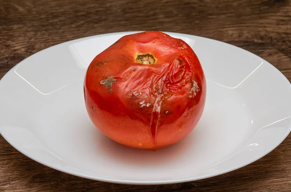 Hemmoteltu Mätä Homeinen Tomaatti Lautasella — kuvapankkivalokuva