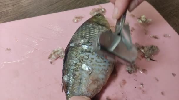 Cuoco Sbuccia Buccia Pesce Crociano Tagliere — Video Stock