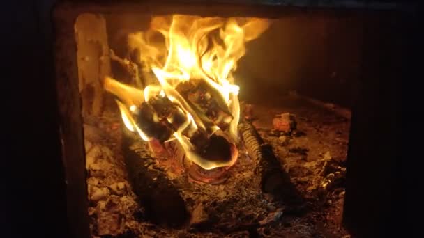 Brennholz Brennt Mit Feuer Ofen — Stockvideo