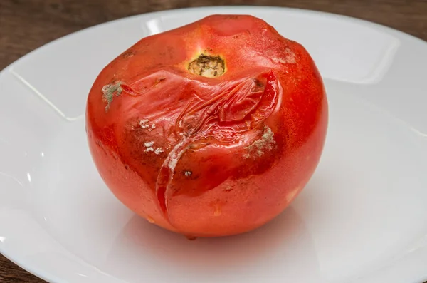 Κακομαθημένη Σάπια Μουχλιασμένη Ντομάτα Πιάτο — Φωτογραφία Αρχείου