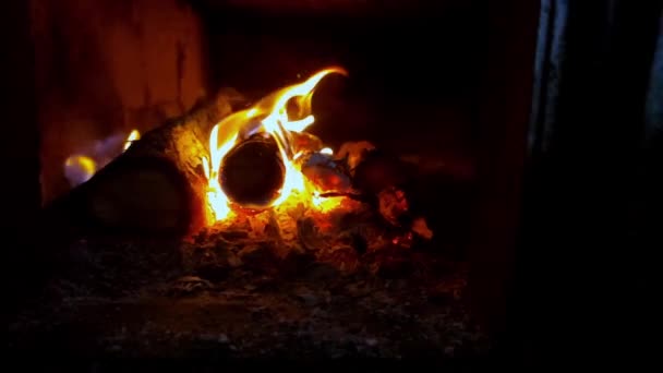 Brennholz Brennt Kamin Zeitlupe — Stockvideo