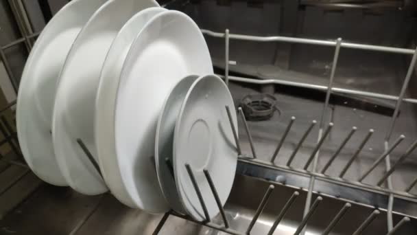 Man Takes Out Clean Dishes White Plates Dishwasher — 图库视频影像