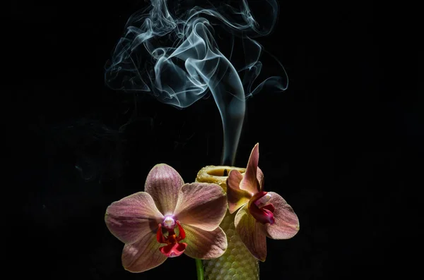 Rauch Einer Erloschenen Kerze Orchideenblumen Isoliert Auf Schwarzem Hintergrund — Stockfoto
