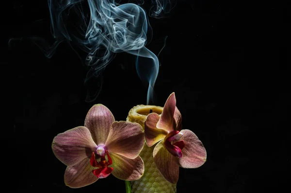 Rauch Einer Erloschenen Kerze Orchideenblumen Isoliert Auf Schwarzem Hintergrund — Stockfoto