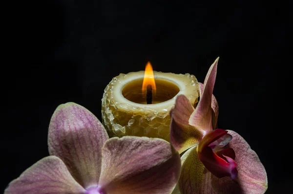 Candle Orchid Flowers Burns Isolated Black Background — kuvapankkivalokuva