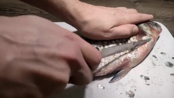 Cuoco Taglia Pesce Crudo Crociano Tagliere Con Coltello — Video Stock
