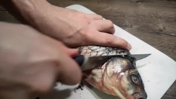 Cozinheiro Corta Crucian Cru Peixe Uma Tábua Corte Com Uma — Vídeo de Stock