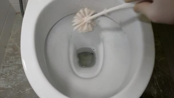집사람 가정용 약품으로 변기를 청소하는 — 비디오