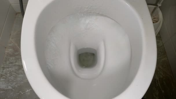 Pembantu Membersihkan Toilet Dengan Bahan Kimia Rumah Tangga — Stok Video