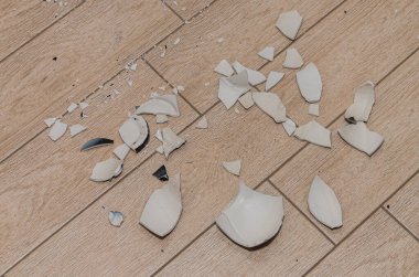 yerde kırık vazo parçaları