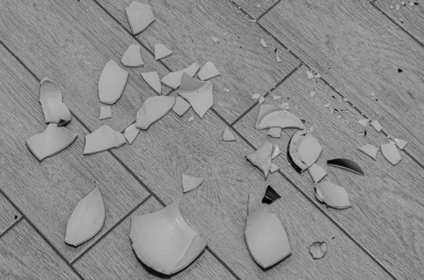 Shards of a broken vase on the floor