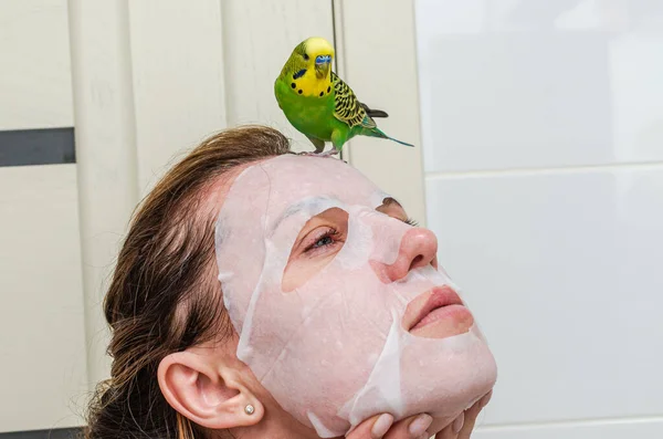 A green budgie sits on a woman who makes a sheet mask on her face during cosmetic procedures