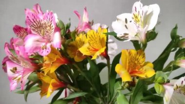 Çok renkli bir buket taze çiçek.