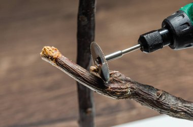 Usta ağacı çoklu bir araçla işliyor