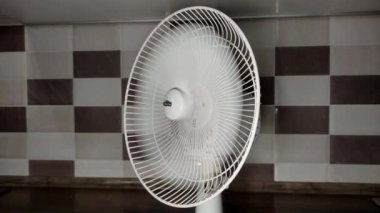 Ev pervanesi havayı temizliyor.