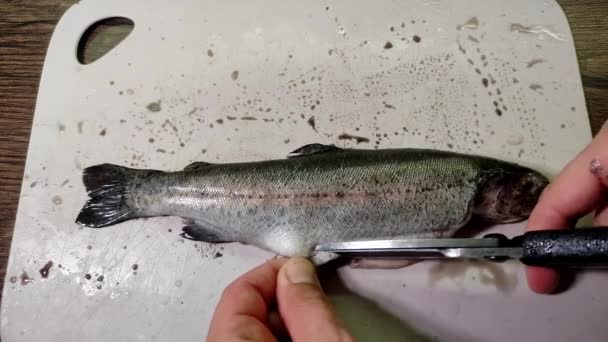 Kok Snijdt Forel Vis Een Snijplank — Stockvideo