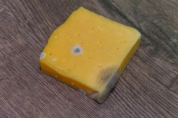 Verdorbener Verschimmelter Käse Auf Dem Tisch — Stockfoto