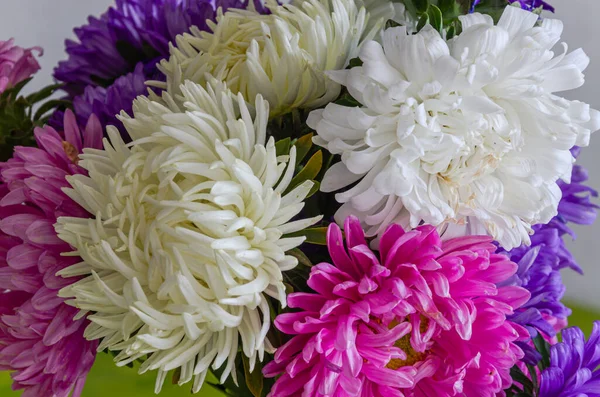 Різнокольоровий Букет Красивих Квітів — стокове фото