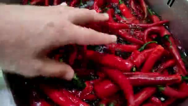 Kok Wast Rode Chili Peper Met Water — Stockvideo