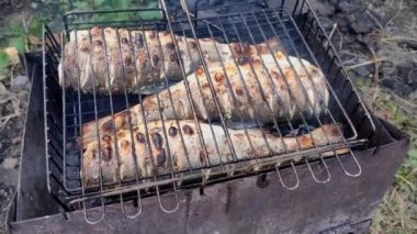 Ateşte ızgarada kızartılmış alabalık balığı.