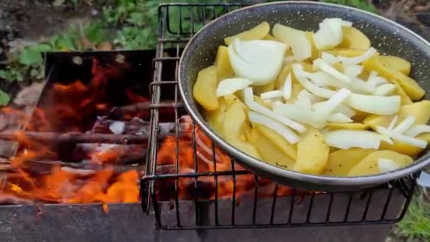 Las Patatas Con Cebolla Fríen Sartén Parrilla Fuego — Vídeos de Stock
