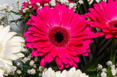 Renkli çiçeklerden oluşan güzel bir buket