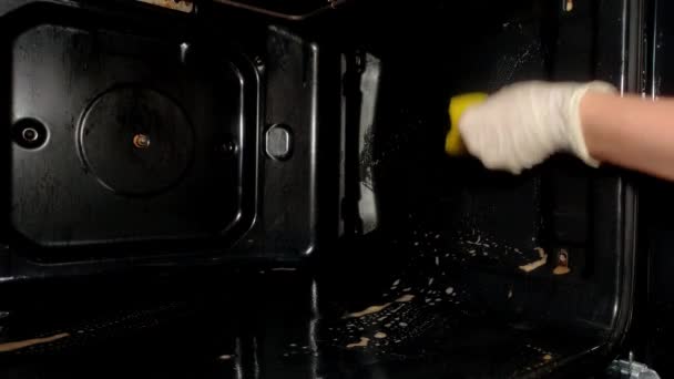 管家用家用化学品清洗烤箱 — 图库视频影像