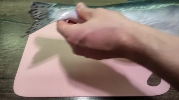 Carcass Pink Salmon Fish Cutting Board — Stock Video