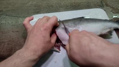 Aşçı kesme tahtasındaki bıçakla taze pembe somon balığını temizler ve keser.