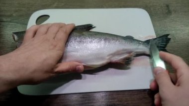 Aşçı kesme tahtasındaki bıçakla taze pembe somon balığını temizler ve keser.