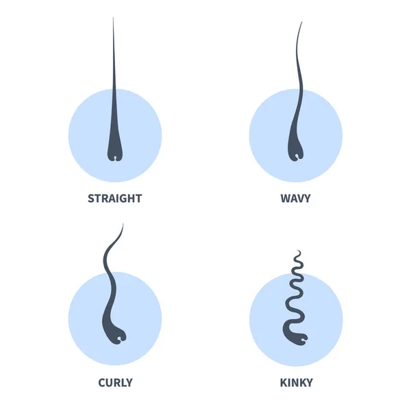 Straight Κυματιστά Σγουρά Kinky Σύστημα Ταξινόμησης Τύπων Μαλλιών Που Λεπτομερής — Διανυσματικό Αρχείο