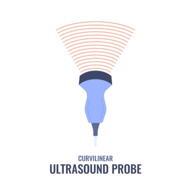 Curvilinear ultrason diyagramı. Abdominal muayeneler için dışbükey dizilim dönüştürücü. Tıbbi sonografi konsepti. Radyoloji ekipmanı vektör illüstrasyonu.