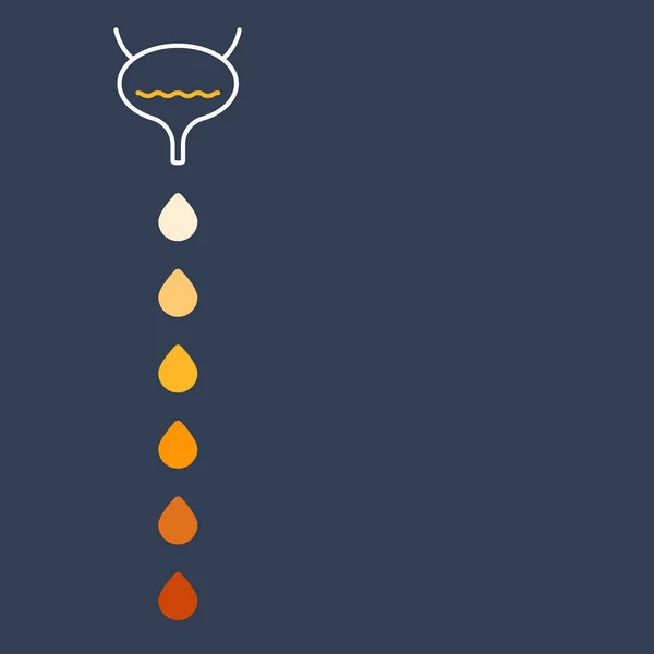 Urine Color Chart Diagram Bladder Urine Drops Showing Different Hydration — Stok Vektör